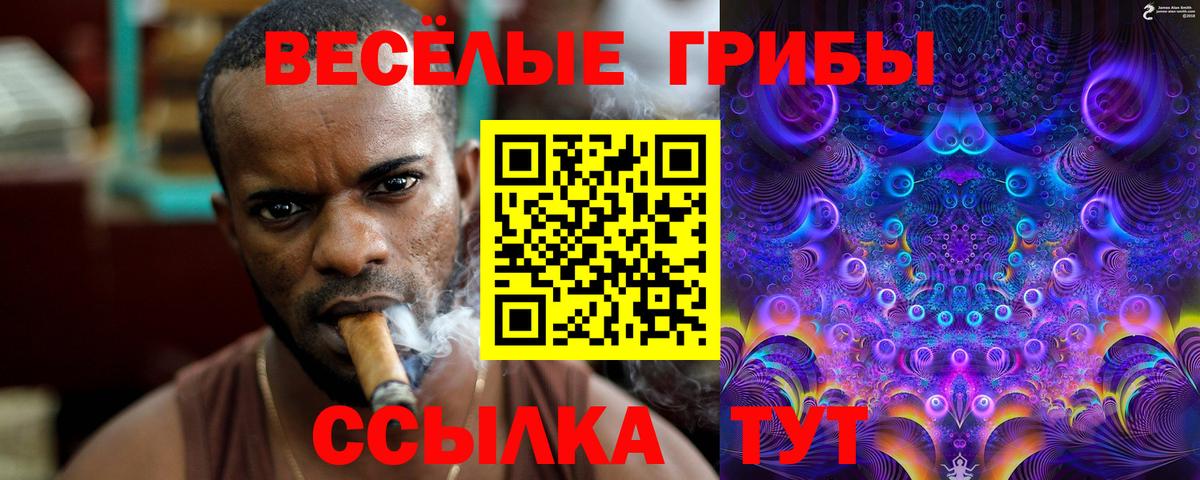 Псилоцибиновые грибы мицелий Саранск
