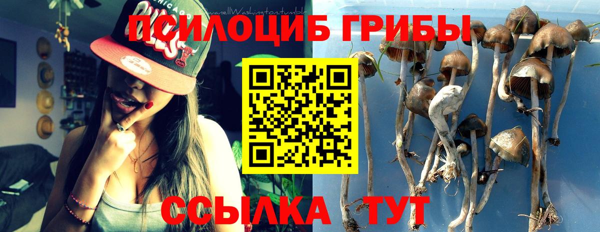 Псилоцибиновые грибы GOLDEN TEACHER  Вход с VPN  Саранск 